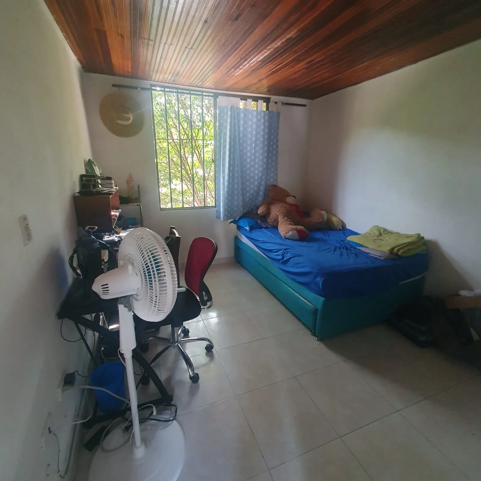 Imagen del Proyecto