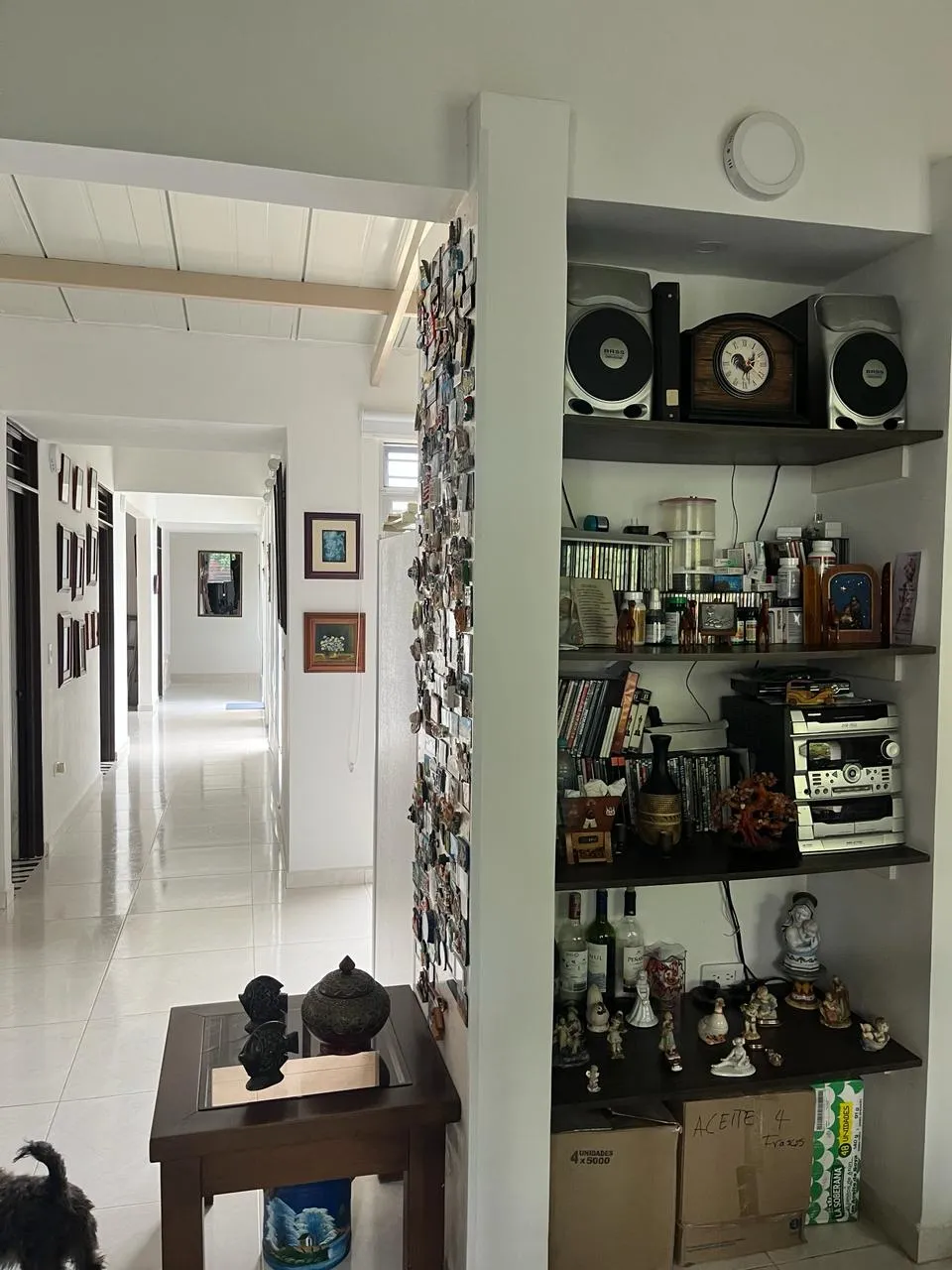 Imagen del Proyecto