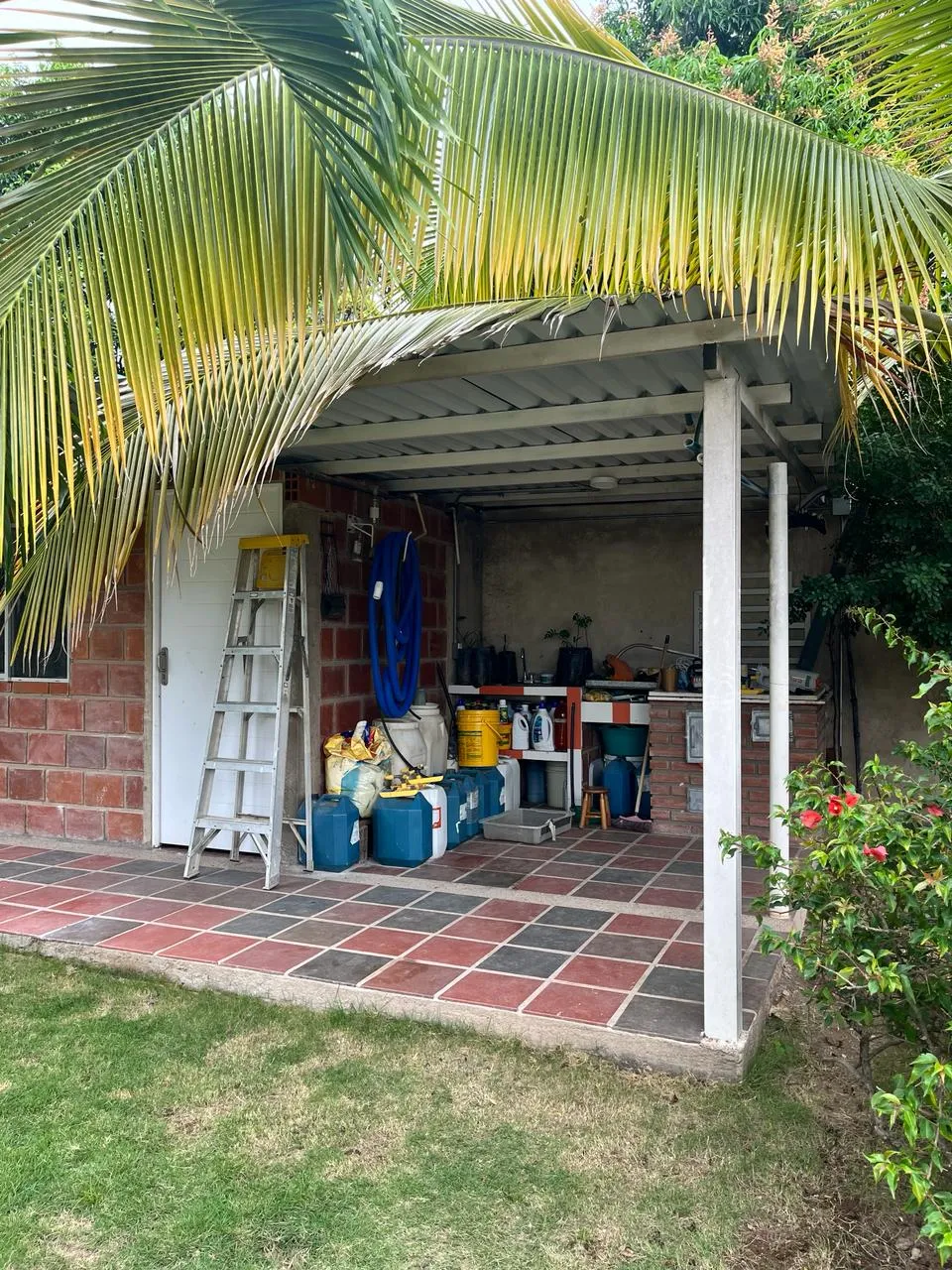 Imagen del Proyecto