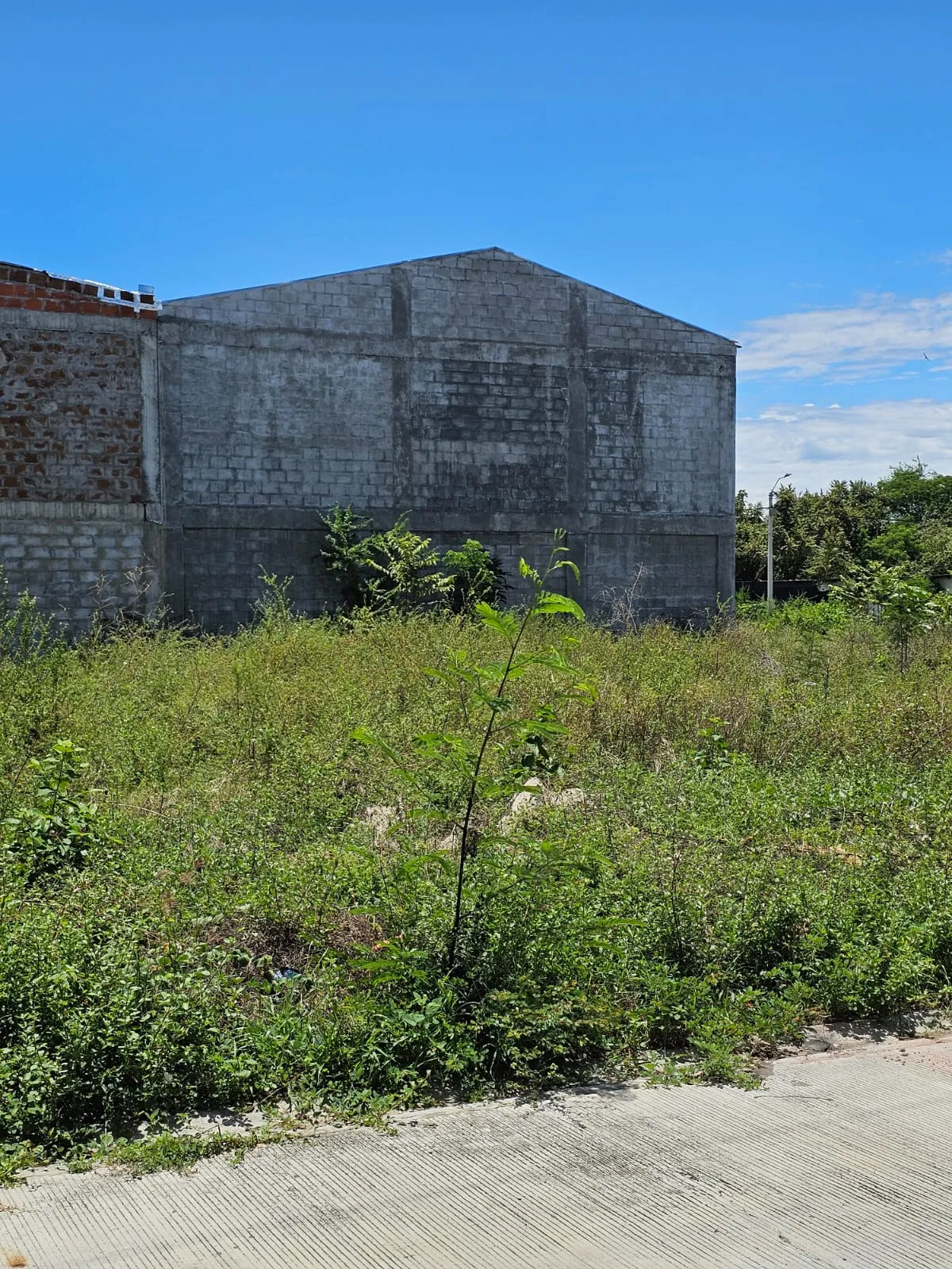 Imagen de la Propiedad