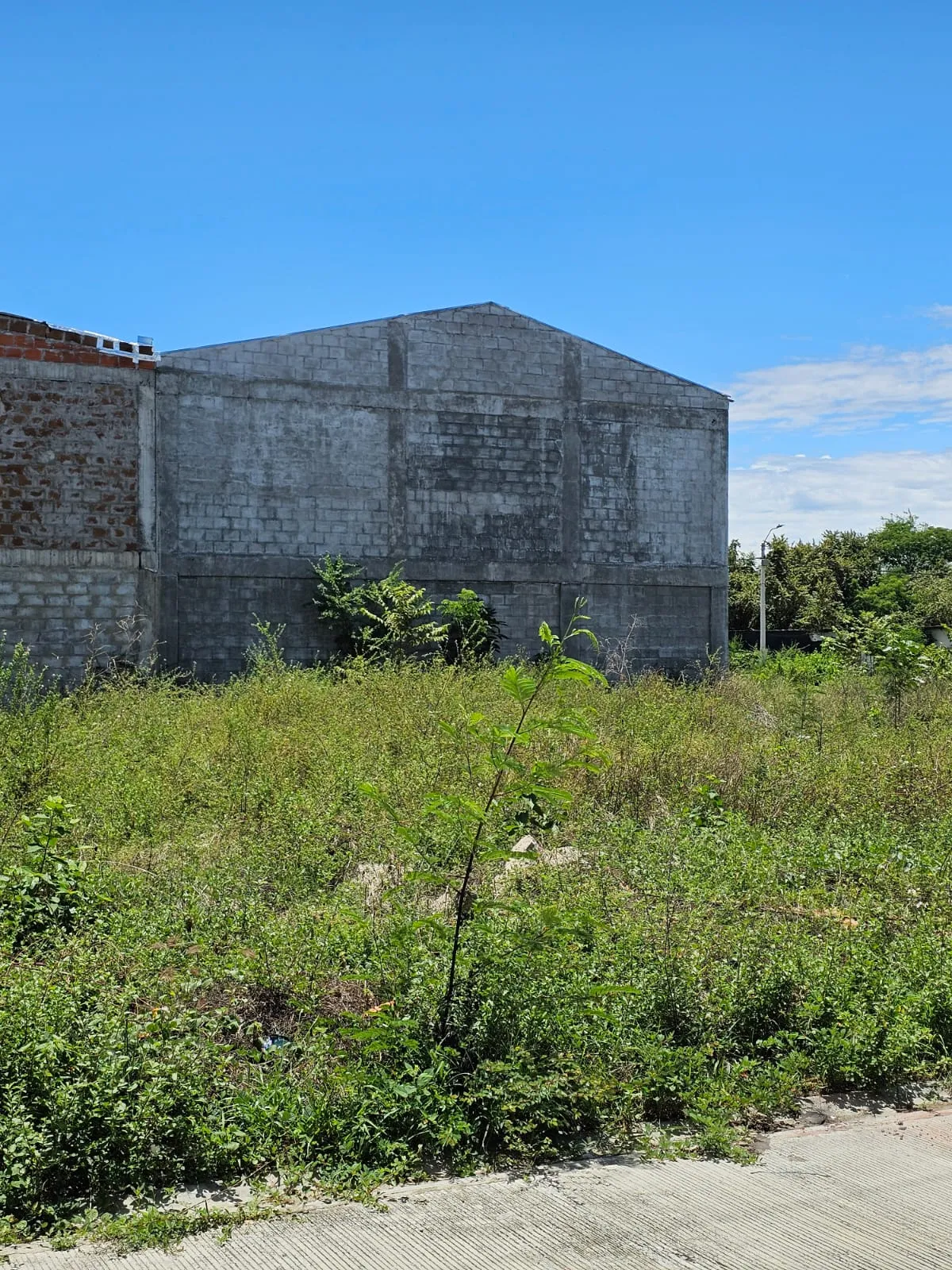 Imagen de la Propiedad
